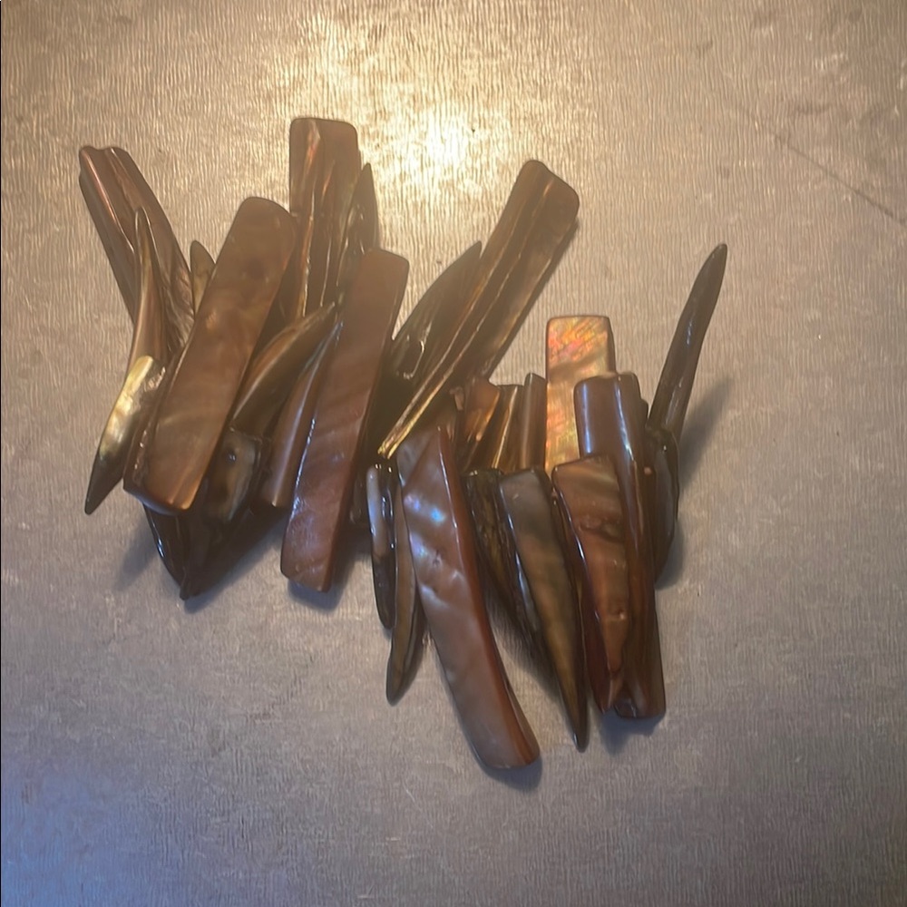 Brown Shell Hair Clips